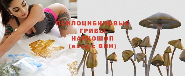стафф Алзамай