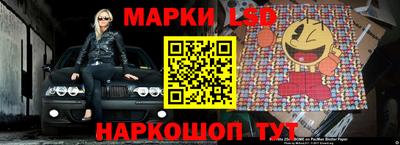 шишки Волгодонск