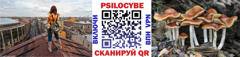 МЕГА сайт  Нижний Тагил  площадка формула  Галлюциногенные грибы Psilocybe 