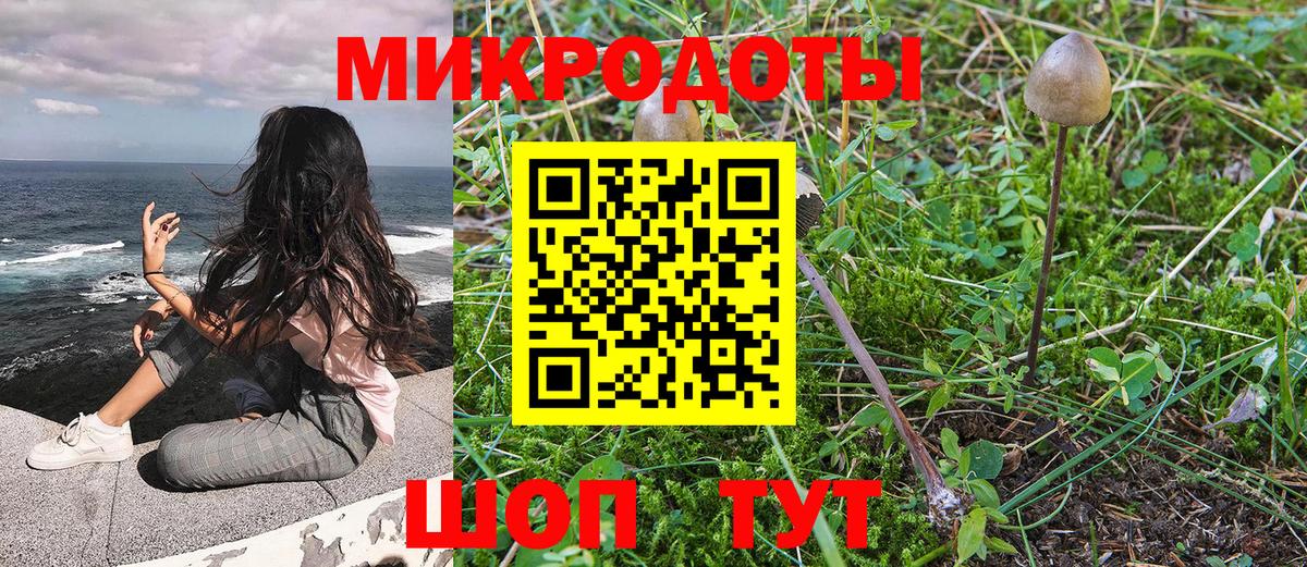 Псилоцибиновые грибы мухоморы Нижний Тагил